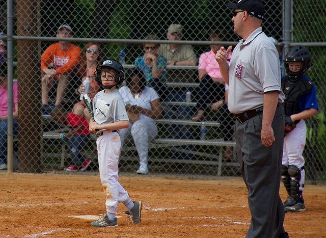 粉丝与球队 粉丝与球队