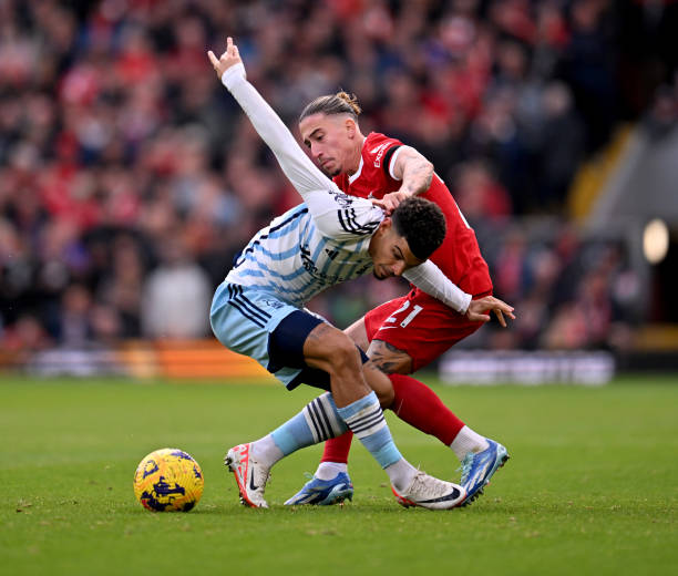 回顾以往几 回顾以往几